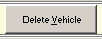 8. Delete Vehicle button